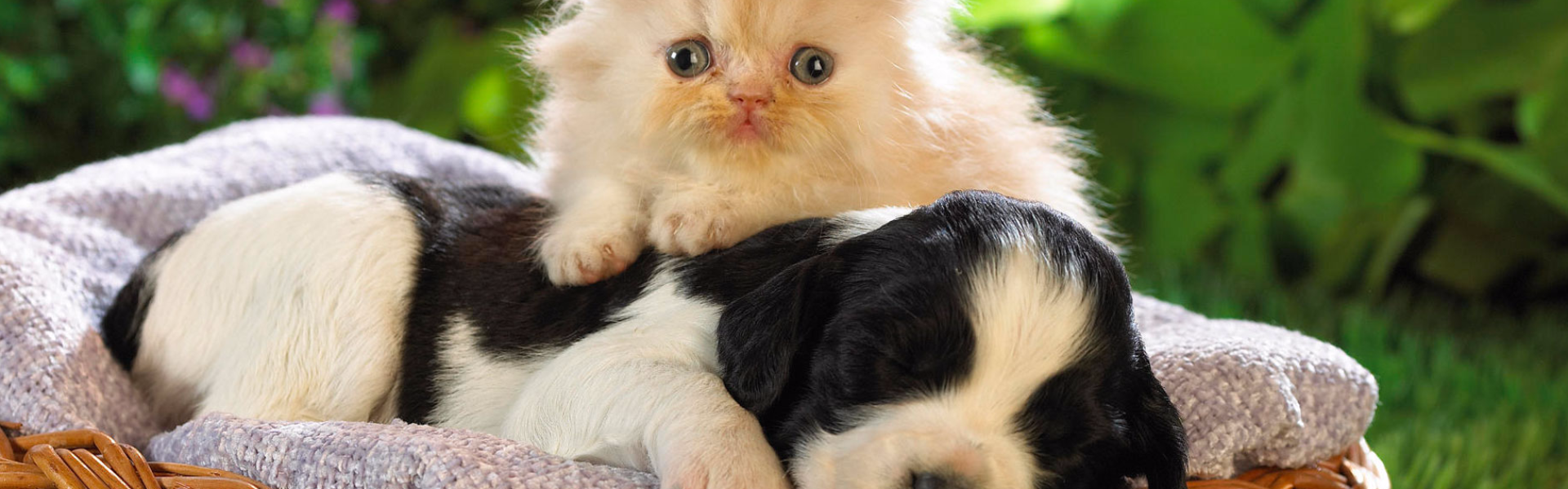 SMS Pricing you will love